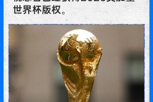 赵宇：世界杯版权买的话肯定是两届，至于价格可以参考前两届配图
