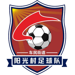 阳光村队徽